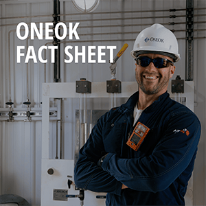 Fact Sheet